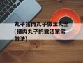 丸子猪肉丸子做法大全(猪肉丸子的做法家常做法)