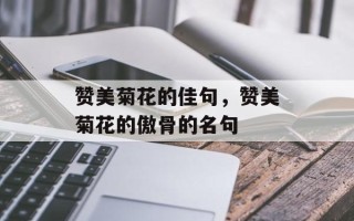 赞美菊花的佳句，赞美菊花的傲骨的名句