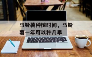 马铃薯种植时间，马铃薯一年可以种几季