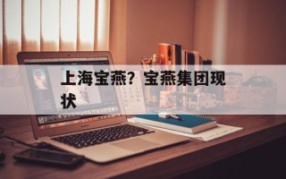 上海宝燕？宝燕集团现状