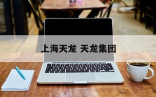 上海天龙 天龙集团