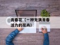 青春花（一种充满青春活力的花卉）