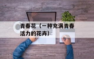 青春花（一种充满青春活力的花卉）