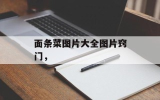 面条菜图片大全图片窍门，