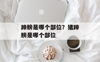 蹄膀是哪个部位？猪蹄膀是哪个部位