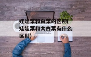 娃娃菜和白菜的区别(娃娃菜和大白菜有什么区别)
