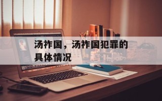 汤祚国，汤祚国犯罪的具体情况