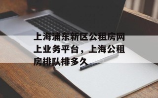 上海浦东新区公租房网上业务平台，上海公租房排队排多久