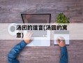 汤团的谐音(汤圆的寓意)