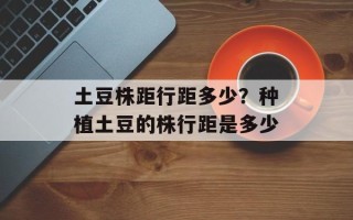 土豆株距行距多少？种植土豆的株行距是多少