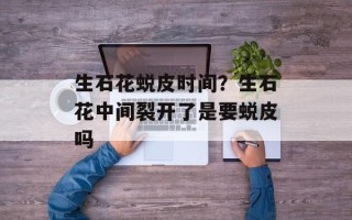 生石花蜕皮时间？生石花中间裂开了是要蜕皮吗