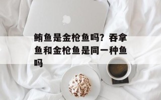 鲔鱼是金枪鱼吗？吞拿鱼和金枪鱼是同一种鱼吗