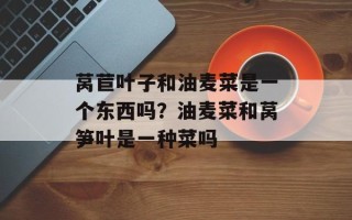 莴苣叶子和油麦菜是一个东西吗？油麦菜和莴笋叶是一种菜吗