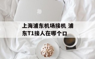 上海浦东机场接机 浦东T1接人在哪个口