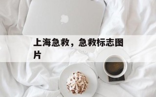 上海急救，急救标志图片