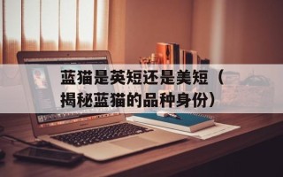 蓝猫是英短还是美短（揭秘蓝猫的品种身份）