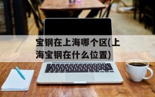 宝钢在上海哪个区(上海宝钢在什么位置)