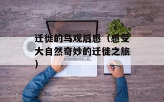 迁徙的鸟观后感（感受大自然奇妙的迁徙之旅）
