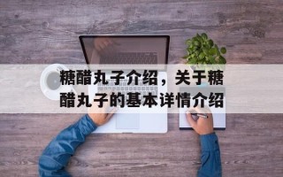 糖醋丸子介绍，关于糖醋丸子的基本详情介绍