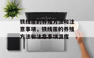 铁线莲的养殖方法和注意事项，铁线莲的养殖方法和注意事项温度