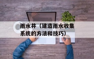 雨水井（建造雨水收集系统的方法和技巧）
