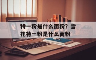 特一粉是什么面粉？雪花特一粉是什么面粉