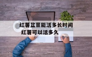 红薯盆景能活多长时间 红薯可以活多久