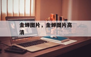 金蝉图片，金蝉图片高清