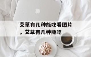 艾草有几种能吃看图片，艾草有几种能吃