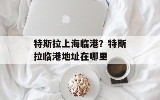 特斯拉上海临港？特斯拉临港地址在哪里