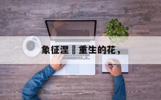 象征涅槃重生的花，