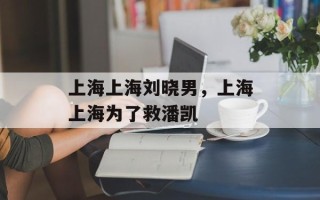 上海上海刘晓男，上海上海为了救潘凯
