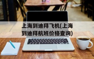 上海到迪拜飞机(上海到迪拜航班价格查询)