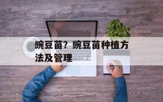 豌豆苗？豌豆苗种植方法及管理