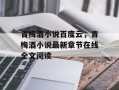 青梅酒小说百度云，青梅酒小说最新章节在线全文阅读