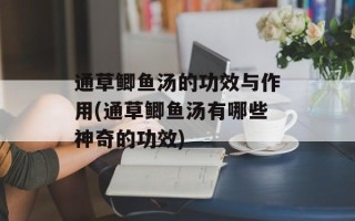 通草鲫鱼汤的功效与作用(通草鲫鱼汤有哪些神奇的功效)