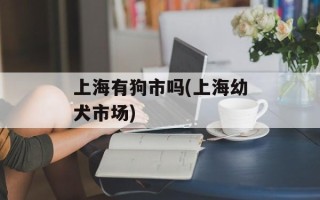 上海有狗市吗(上海幼犬市场)
