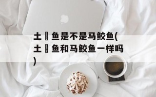 土魠鱼是不是马鲛鱼(土魠鱼和马鲛鱼一样吗)