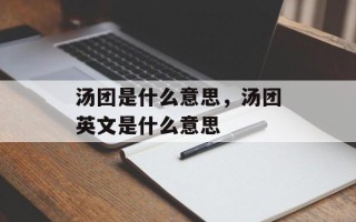 汤团是什么意思，汤团英文是什么意思