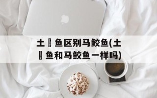 土魠鱼区别马鲛鱼(土魠鱼和马鲛鱼一样吗)