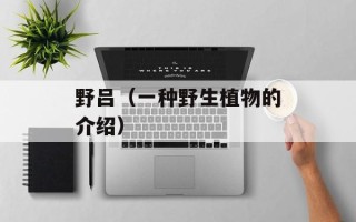 野吕（一种野生植物的介绍）