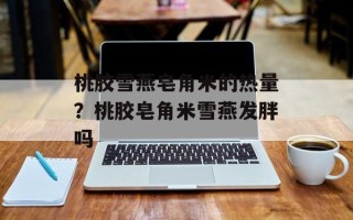 桃胶雪燕皂角米的热量？桃胶皂角米雪燕发胖吗