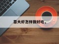 靠大虾怎样做好吃，