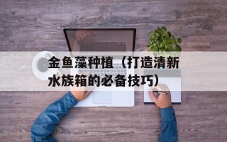 金鱼藻种植（打造清新水族箱的必备技巧）