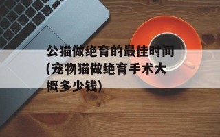 公猫做绝育的最佳时间(宠物猫做绝育手术大概多少钱)