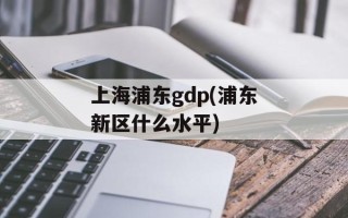 上海浦东gdp(浦东新区什么水平)