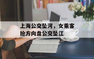 上海公交坠河，女乘客抢方向盘公交坠江