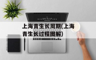 上海青生长周期(上海青生长过程图解)