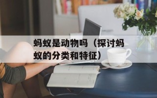 蚂蚁是动物吗（探讨蚂蚁的分类和特征）
