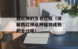 西红柿的生长过程（详解西红柿从种植到成熟的全过程）